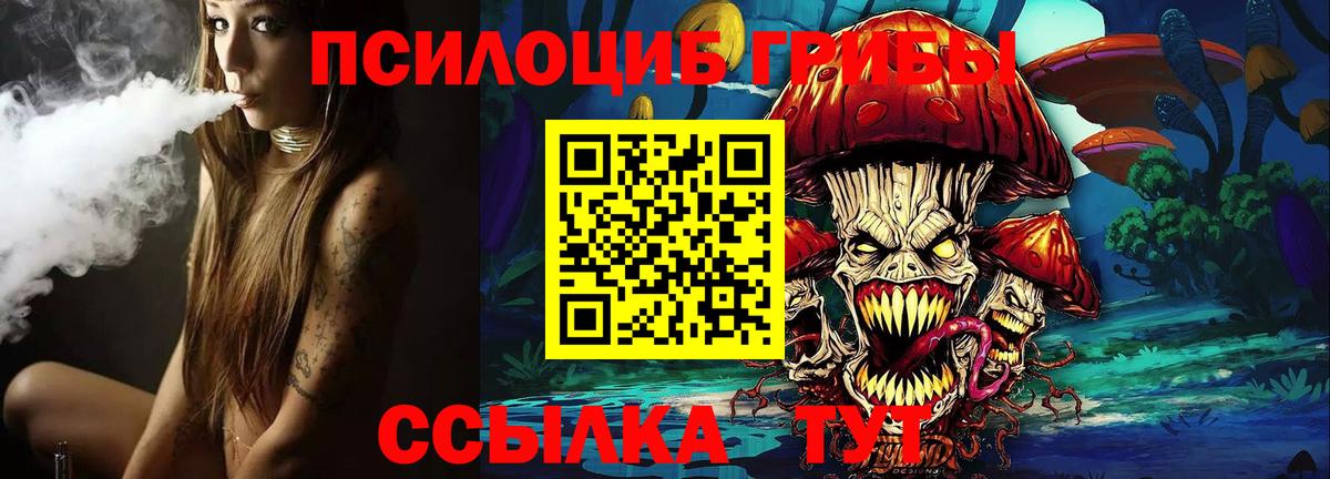 Псилоцибиновые грибы Magic Shrooms  купить   Котлас  Вход с VPN 