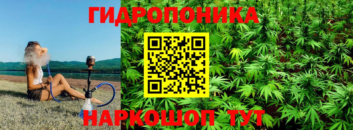 Конопля Bruce Banner Котлас
